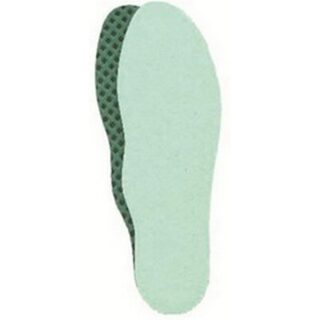 JLFPro Image inlegzool
